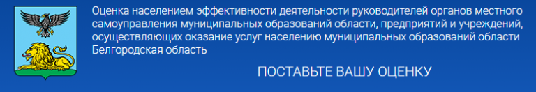 Оценка деятельности главы местного самоуправления. Оценка деятельности руководителя.